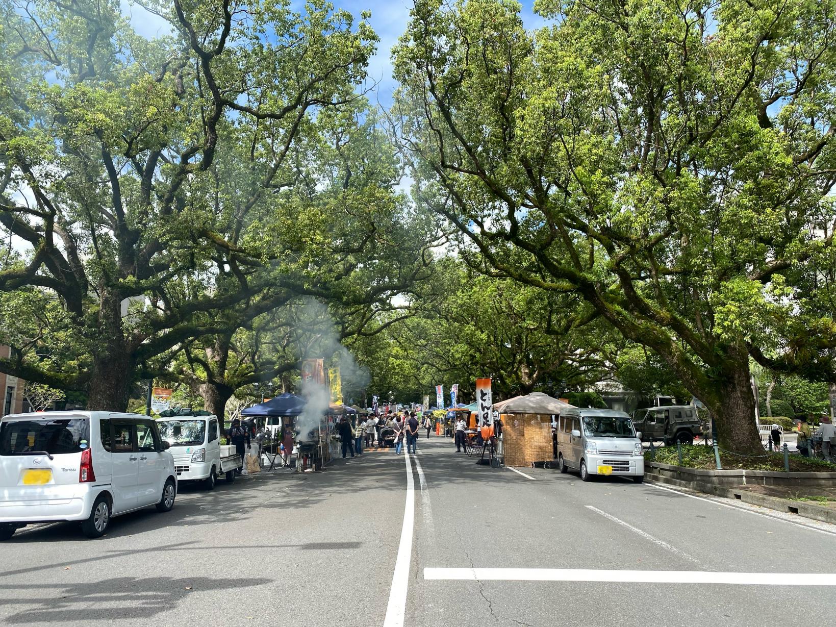 【宮崎市】いっちゃが宮崎 楠並木朝市（毎月第1・3日曜日開催）