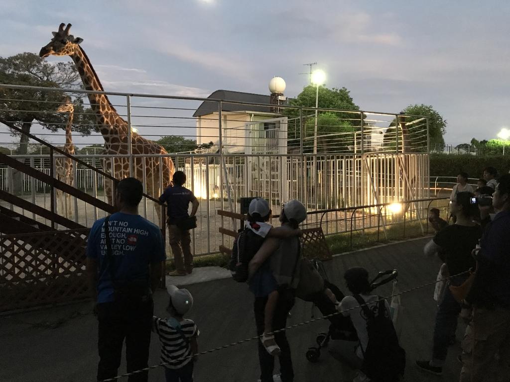 【佐世保市】九十九島動植物森きらら　夜の森きらら