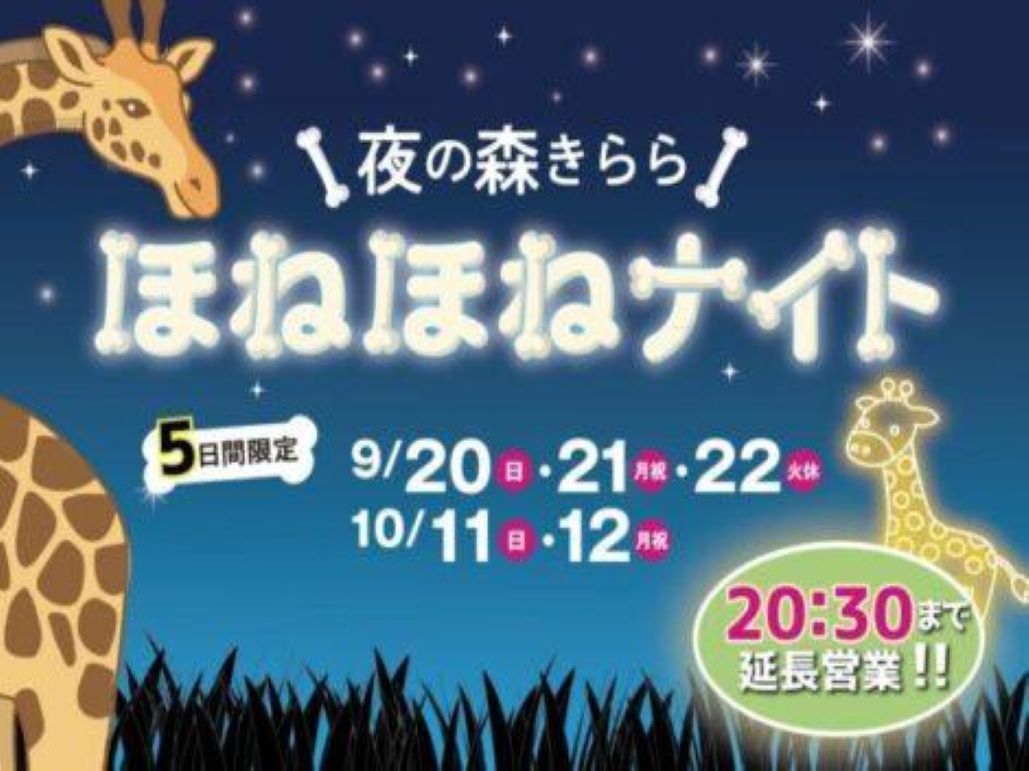 【佐世保市】夜の森きらら　ほねほねナイト【九十九島動植物森きらら】