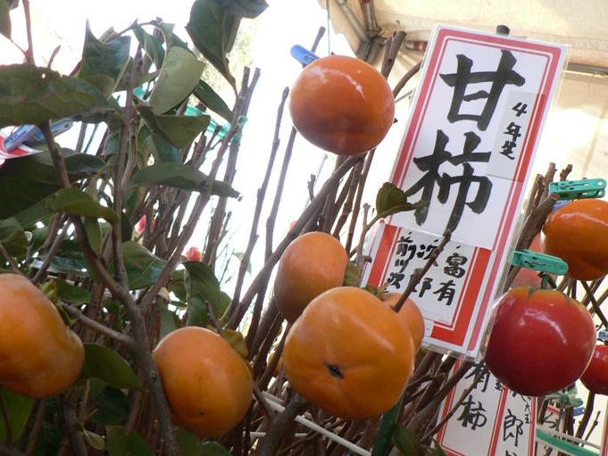 【鹿児島市】秋の木市