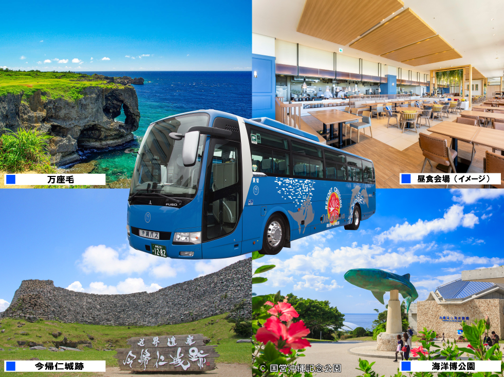 定期観光バス「海洋博公園（沖縄美ら海水族館）と今帰仁城跡（オプション）」