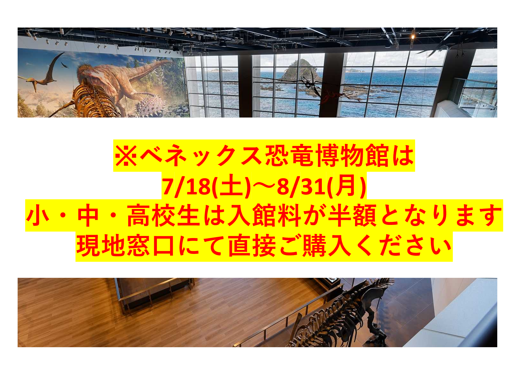 恐竜博物館常設展観覧券